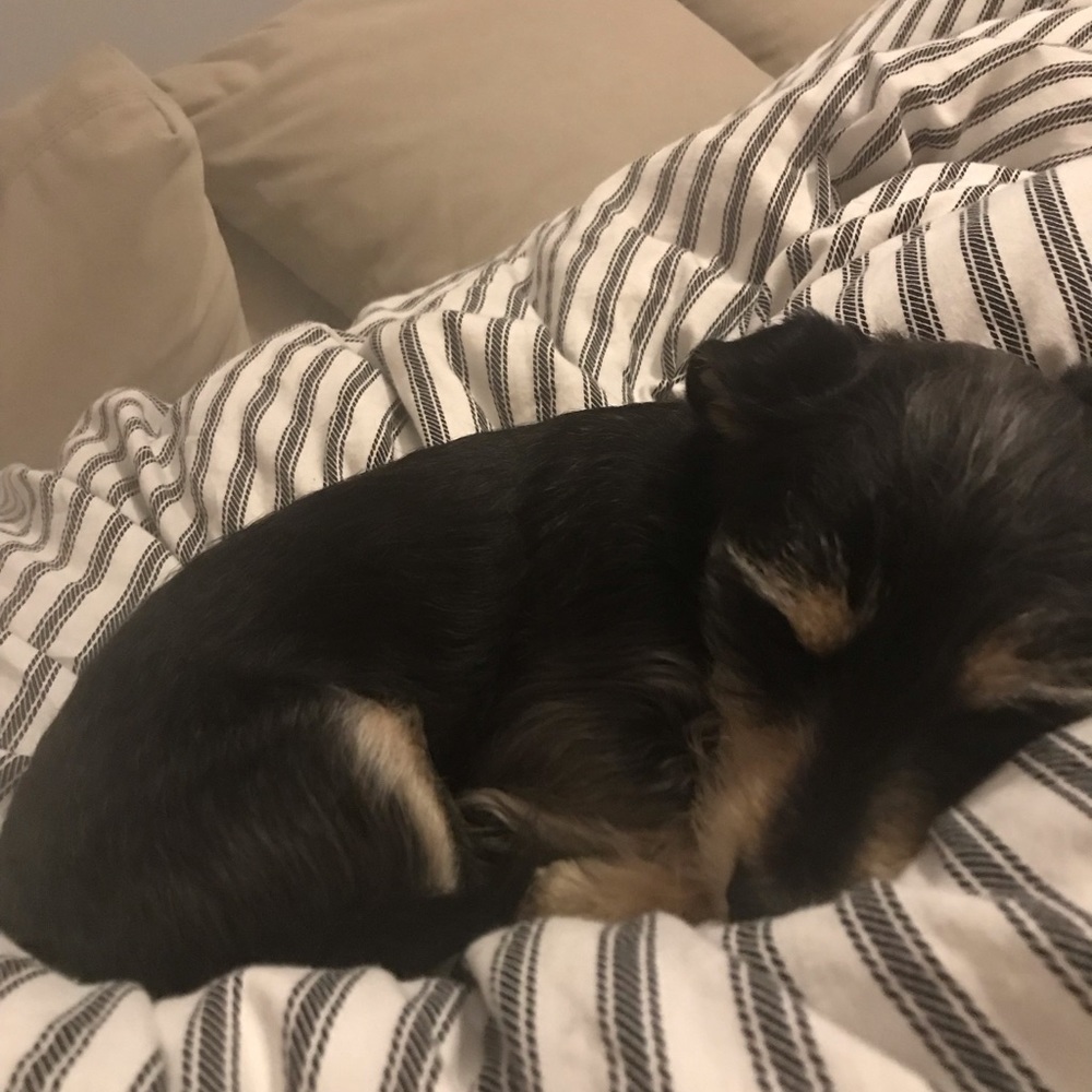 Meet your Posher, Kirsten